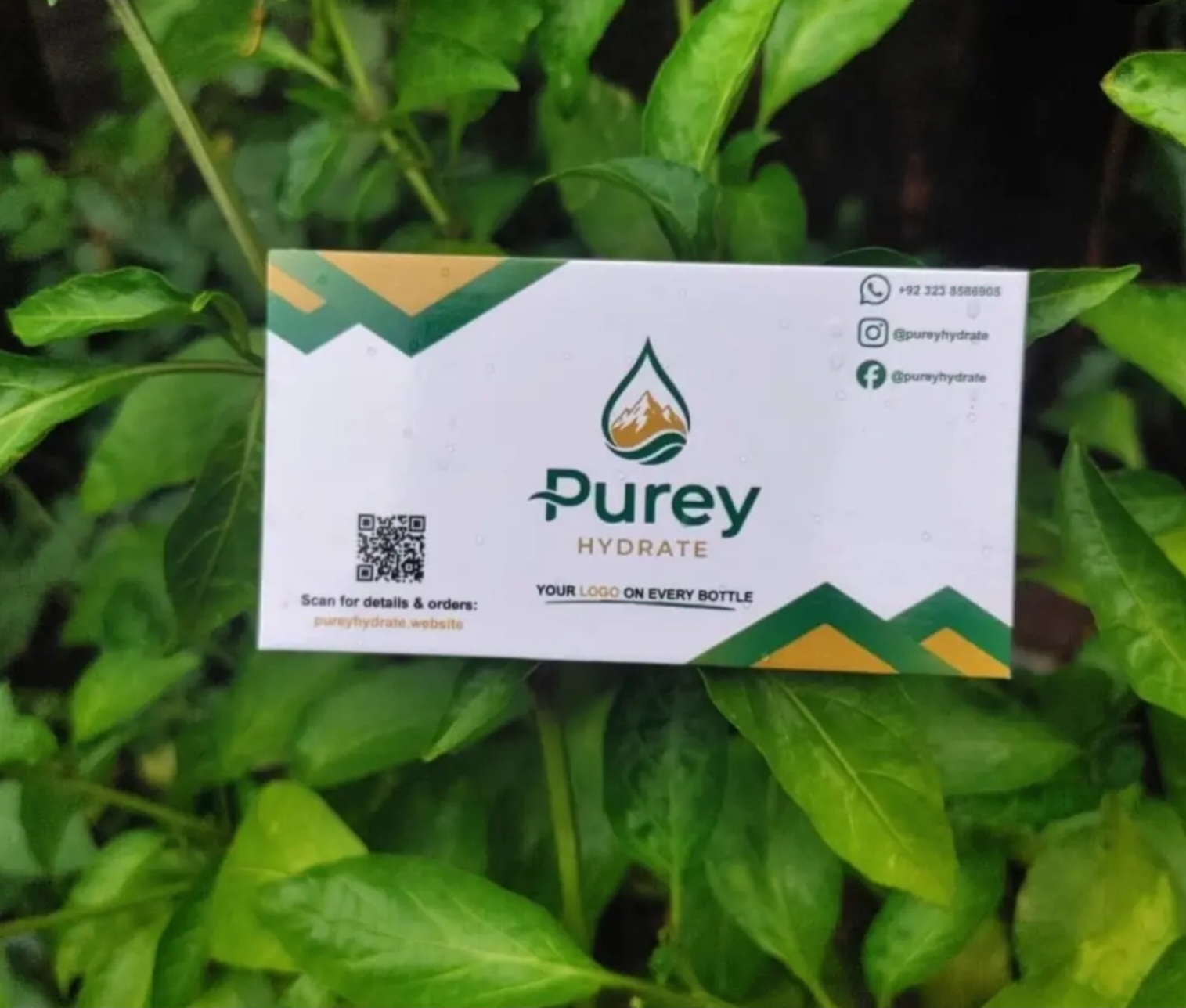 Custom branded loyalty and discount cards - Purey Hydrate Islamabad